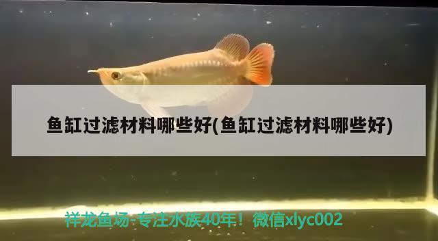 海景坊魚缸怎么樣：海景坊水族有限公司 廣州水族批發(fā)市場 第3張