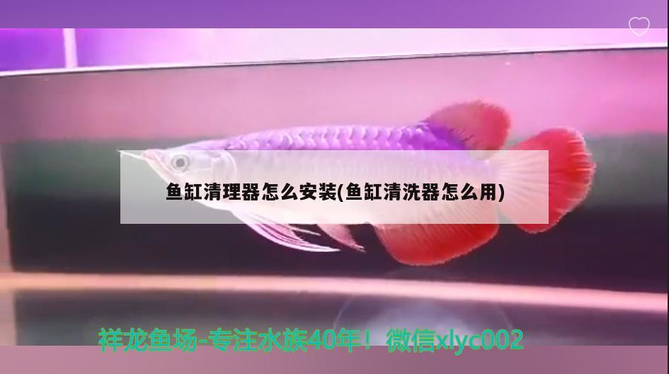 魚缸清理器怎么安裝(魚缸清洗器怎么用) 定時器/自控系統(tǒng)