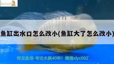 魚缸出水口怎么改小(魚缸大了怎么改小) 黑桃A魚