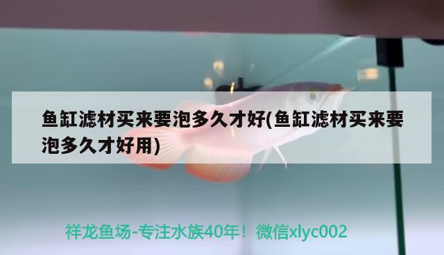 魚缸濾材買來要泡多久才好(魚缸濾材買來要泡多久才好用) 藍(lán)底過背金龍魚 第2張