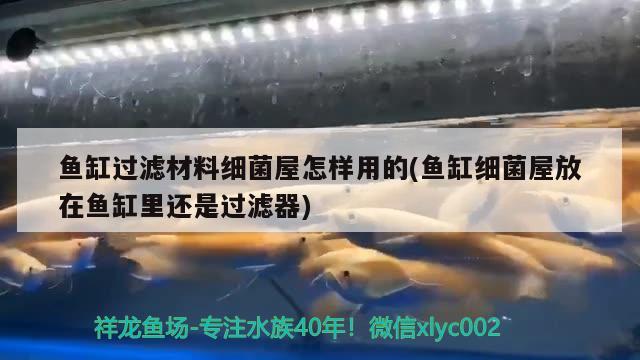 魚(yú)缸過(guò)濾材料細(xì)菌屋怎樣用的(魚(yú)缸細(xì)菌屋放在魚(yú)缸里還是過(guò)濾器) 朱巴利魚(yú)