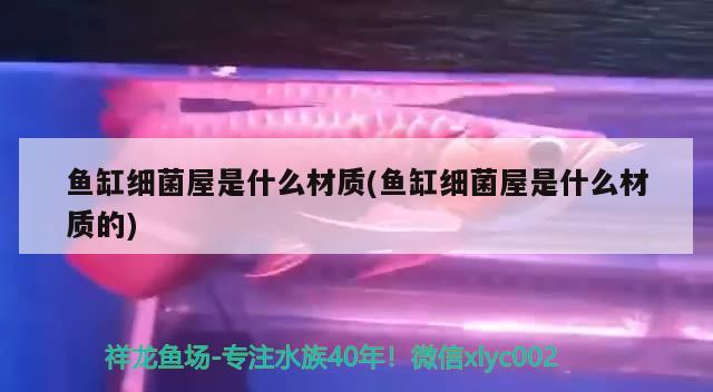 家用魚缸怎么清洗視頻：家用魚缸怎么清洗視頻教程