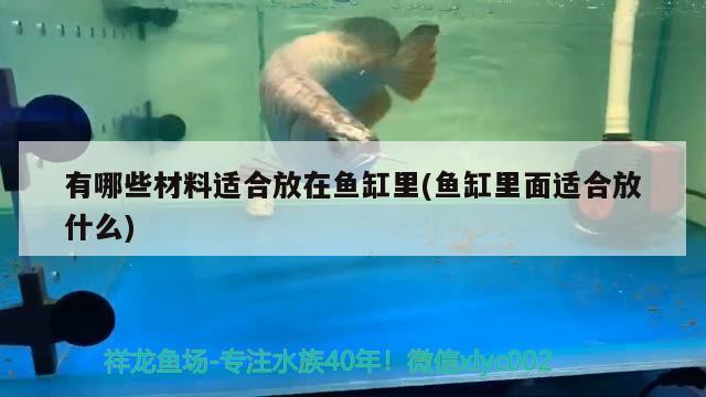 有哪些材料適合放在魚缸里(魚缸里面適合放什么)