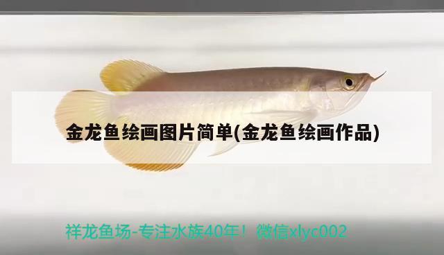 金龍魚繪畫圖片簡單(金龍魚繪畫作品)