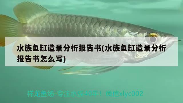 魚缸汽水是什么意思，啤酒可以澆花嗎，怎么澆 養(yǎng)魚的好處 第1張