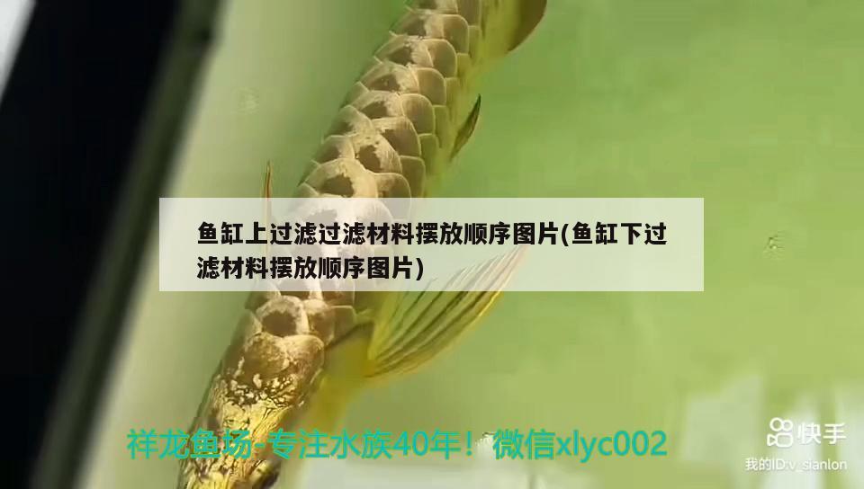 魚(yú)缸能直接換自來(lái)水嗎視頻(給魚(yú)缸換水能直接換自來(lái)水嗎) 紅魔王銀版魚(yú) 第2張