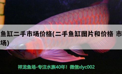 魚(yú)缸二手市場(chǎng)價(jià)格(二手魚(yú)缸圖片和價(jià)格市場(chǎng)) 薩伊藍(lán)魚(yú)