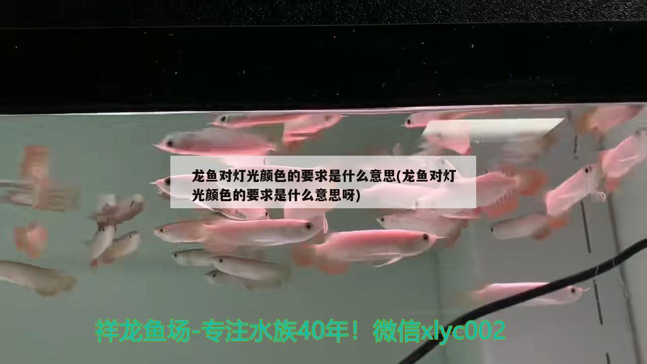 龍魚對(duì)燈光顏色的要求是什么意思(龍魚對(duì)燈光顏色的要求是什么意思呀)