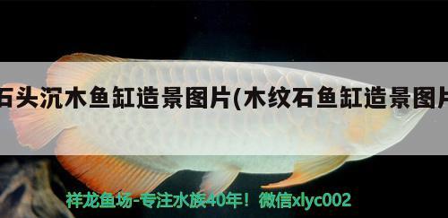 蘭州二手魚缸市場(蘭州哪里賣魚缸)