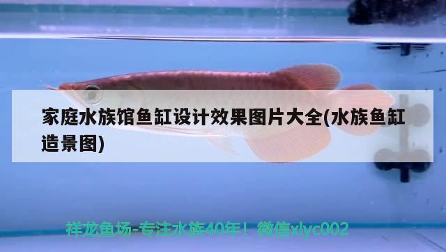 家庭水族館魚缸設計效果圖片大全(水族魚缸造景圖) 魚缸風水