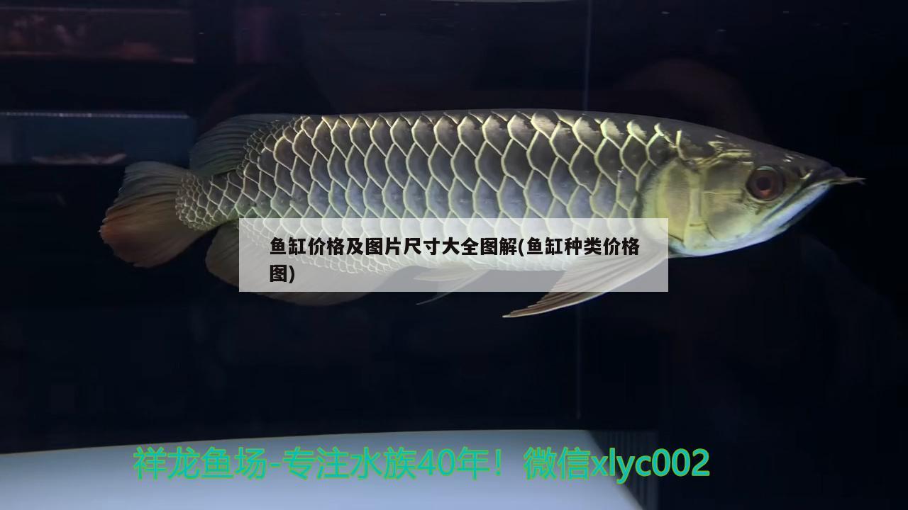 魚缸價格及圖片尺寸大全圖解(魚缸種類價格圖)