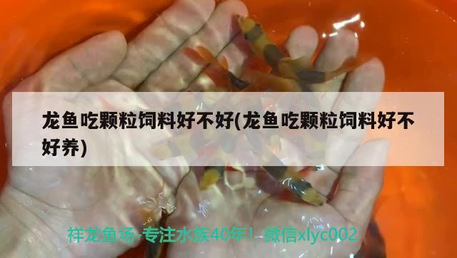 咸陽賣魚缸市場在哪里啊電話多少：咸陽魚缸批發(fā)市場 觀賞魚市場 第3張