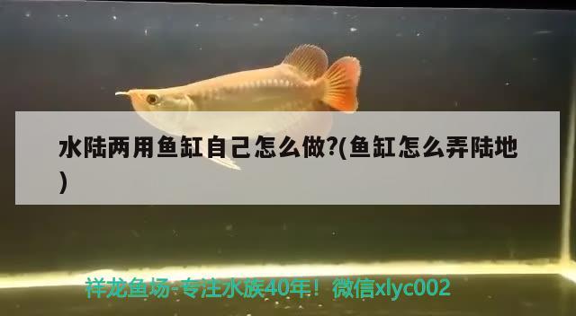 咸陽賣魚缸市場在哪里啊電話多少：咸陽魚缸批發(fā)市場 觀賞魚市場 第1張