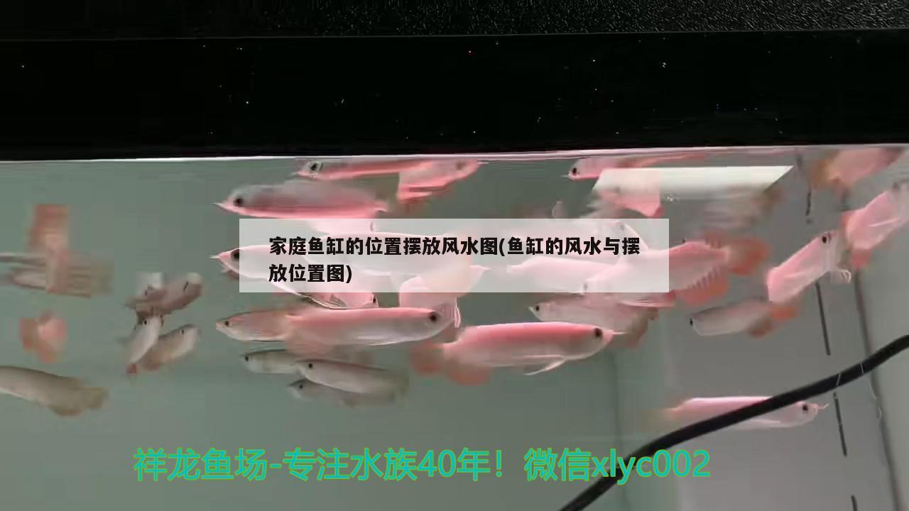 家庭魚缸的位置擺放風(fēng)水圖(魚缸的風(fēng)水與擺放位置圖) 魚缸風(fēng)水