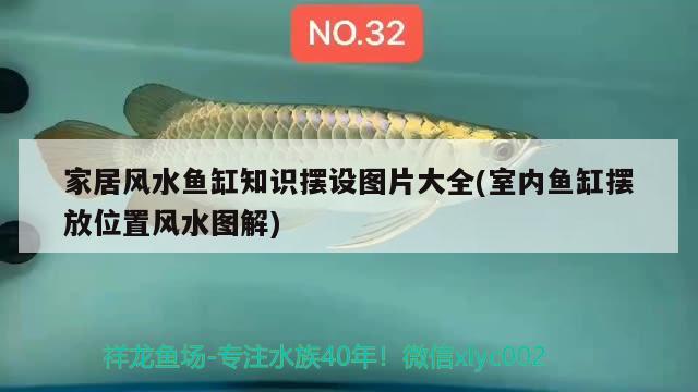 二手魚缸低價出售100元 二手魚缸低價出售100元以下