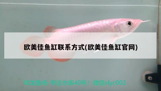 歐美佳魚缸聯(lián)系方式(歐美佳魚缸官網(wǎng))