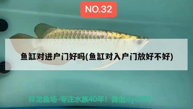 魚缸對進戶門好嗎(魚缸對入戶門放好不好) 魚缸水泵