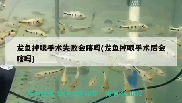 老魚匠變頻加熱棒顯示離水溫差是啥意思（圣盾加熱棒報(bào)警怎么解除） 白化巴西龜（白巴） 第2張