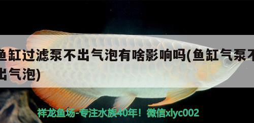 魚(yú)缸加了硝化細(xì)菌渾水（魚(yú)缸加了硝化細(xì)菌渾水變渾濁） 其他品牌魚(yú)缸