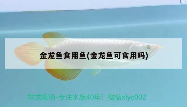 成都魚缸價格普遍多少，成都那里有賣魚缸水族箱的