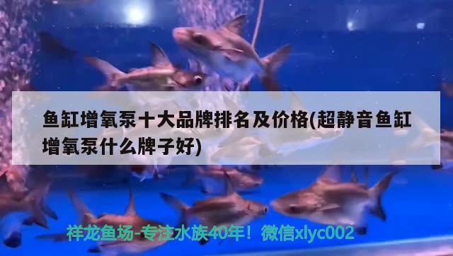 魚缸增氧泵十大品牌排名及價格(超靜音魚缸增氧泵什么牌子好)