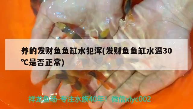 北海魚缸定做廠家（您的城市有“母親河”嗎）