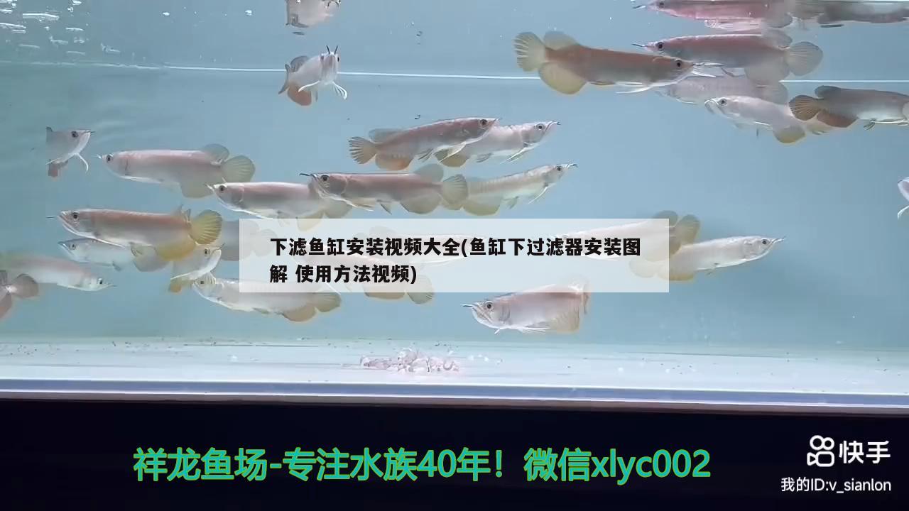 下濾魚缸安裝視頻大全(魚缸下過濾器安裝圖解使用方法視頻)