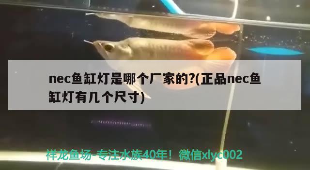 nec魚缸燈是哪個廠家的?(正品nec魚缸燈有幾個尺寸)