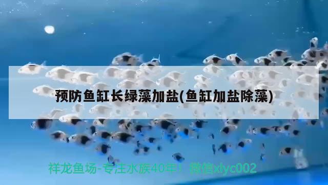 貴陽搬家公司收費情況有人了解嗎，貴州省畢節(jié)市哪里有花鳥市場或者賣魚缸的地方 養(yǎng)魚的好處 第3張