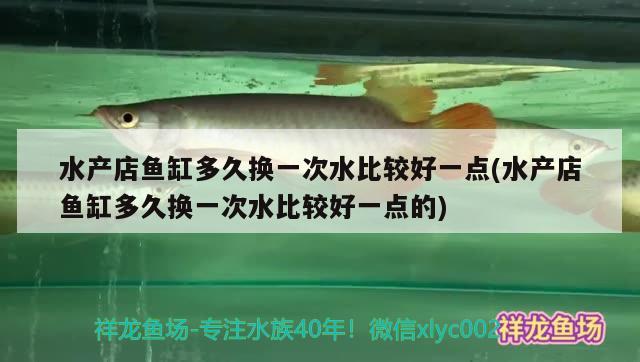 水產店魚缸多久換一次水比較好一點(水產店魚缸多久換一次水比較好一點的) 月光鴨嘴魚