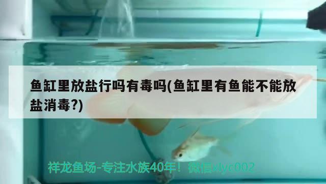 魚缸里放鹽行嗎有毒嗎(魚缸里有魚能不能放鹽消毒?)