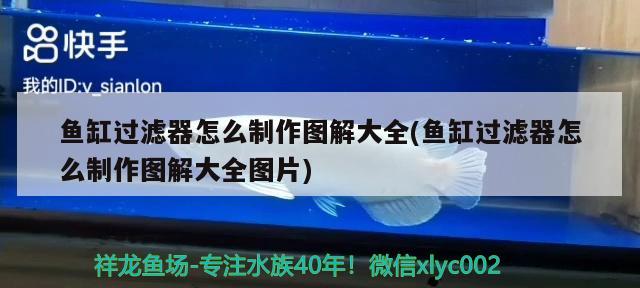 魚缸過濾器怎么制作圖解大全(魚缸過濾器怎么制作圖解大全圖片) 綠皮皇冠豹魚