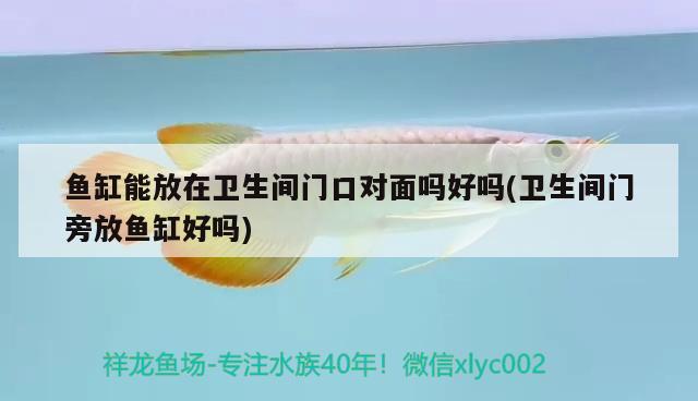 魚缸能放在衛(wèi)生間門口對(duì)面嗎好嗎(衛(wèi)生間門旁放魚缸好嗎)