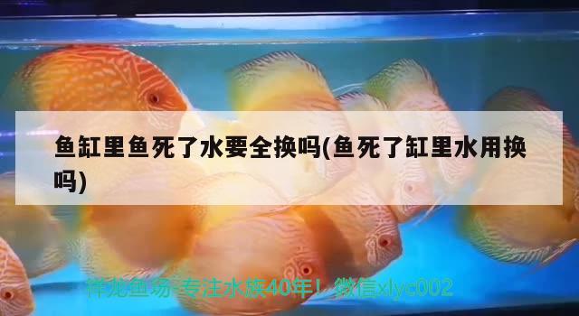 泰安魚缸清洗公司電話多少號：泰安市水族箱魚缸批發(fā)