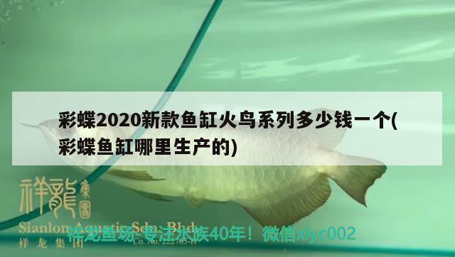 彩蝶2020新款魚缸火鳥系列多少錢一個(彩蝶魚缸哪里生產(chǎn)的) 野生地圖魚