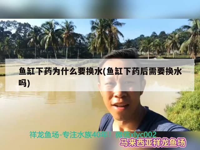 魚缸下藥為什么要換水(魚缸下藥后需要換水嗎) iwish愛唯希品牌魚缸