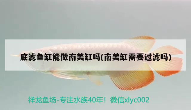 底濾魚缸能做南美缸嗎(南美缸需要過(guò)濾嗎)