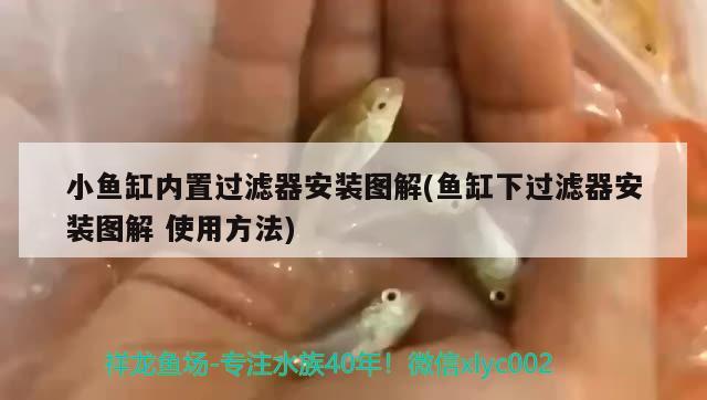 小魚缸內(nèi)置過濾器安裝圖解(魚缸下過濾器安裝圖解使用方法)