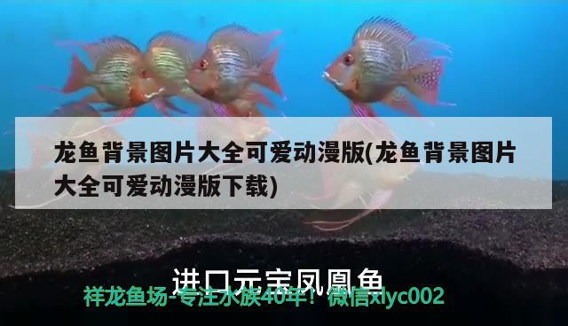 龍魚背景圖片大全可愛動漫版(龍魚背景圖片大全可愛動漫版下載) 黑金魟魚