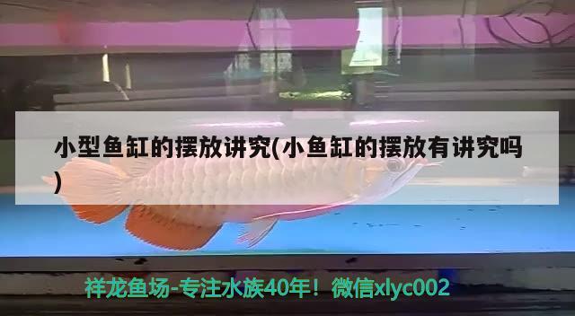 小型魚缸的擺放講究(小魚缸的擺放有講究嗎)