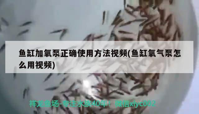 魚缸加氧泵正確使用方法視頻(魚缸氧氣泵怎么用視頻) 溫控設(shè)備