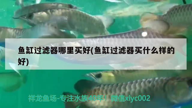 魚(yú)缸過(guò)濾器哪里買(mǎi)好(魚(yú)缸過(guò)濾器買(mǎi)什么樣的好) 定時(shí)器/自控系統(tǒng)