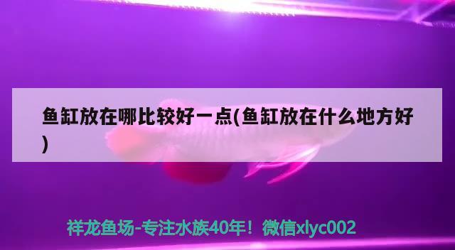 新手開水族批發(fā)市場進貨渠道有哪些，新手開封水族批發(fā)市場地址在哪里開水族店進貨渠道有哪些