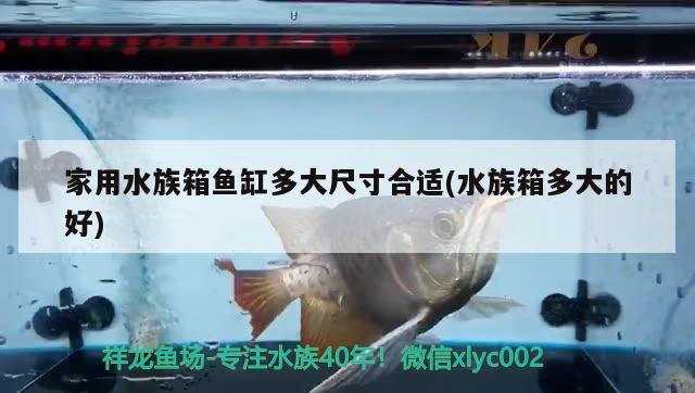 家用水族箱魚缸多大尺寸合適(水族箱多大的好)