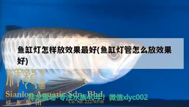 魚(yú)缸燈怎樣放效果最好(魚(yú)缸燈管怎么放效果好) 生態(tài)瓶/創(chuàng)意缸/桌面微景缸