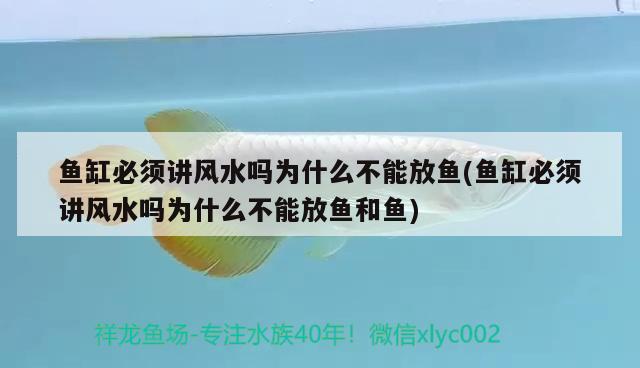 60公分魚缸造景效果圖視頻（60公分的魚缸） 黃金斑馬魚