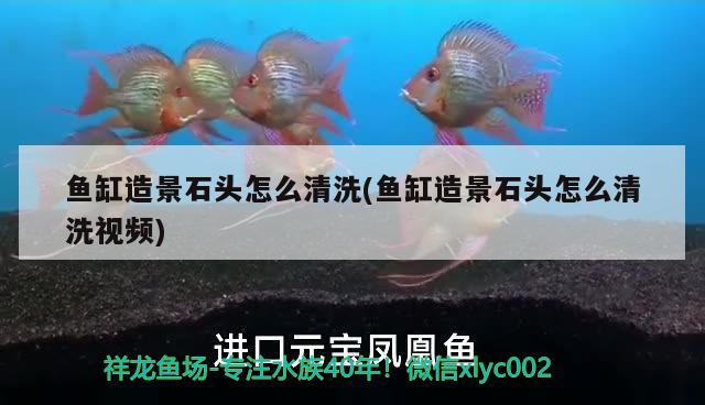 魚缸造景石頭怎么清洗(魚缸造景石頭怎么清洗視頻) 水族燈（魚缸燈）