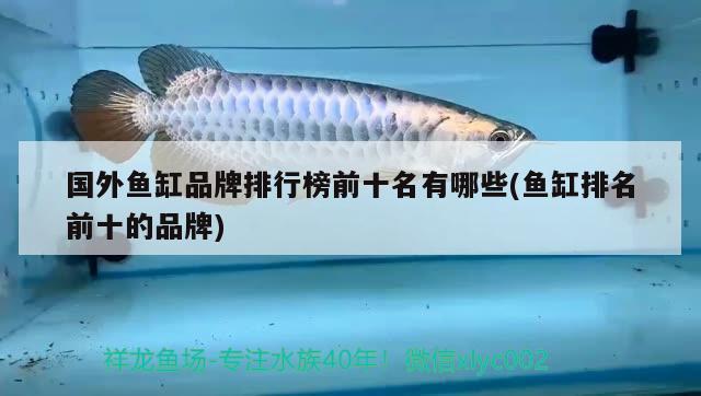 鄂爾多斯水族批發(fā)市場地址（鄂爾多斯水果批發(fā)市場在哪里_）