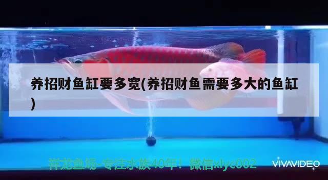 鄂爾多斯水族批發(fā)市場地址（鄂爾多斯水果批發(fā)市場在哪里_）