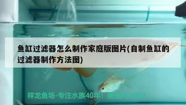 魚(yú)缸過(guò)濾器怎么制作家庭版圖片(自制魚(yú)缸的過(guò)濾器制作方法圖) 祥龍龍魚(yú)專(zhuān)用水族燈